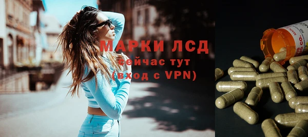 гашик Новозыбков