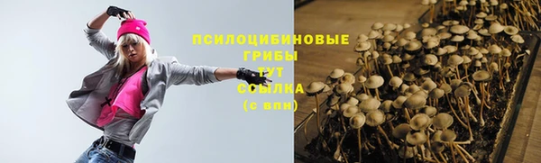 гашик Новозыбков