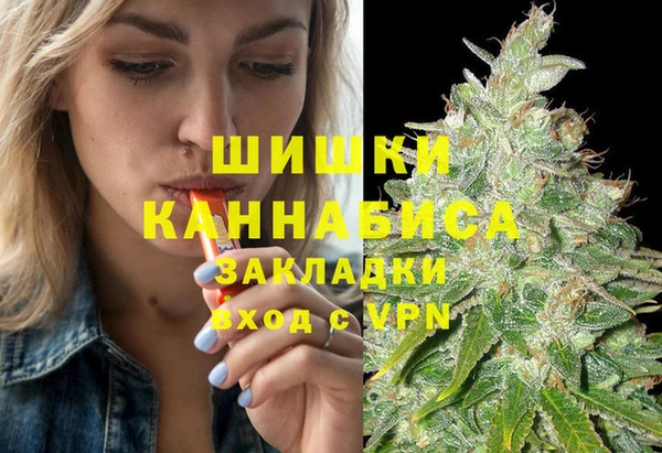 гашик Новозыбков