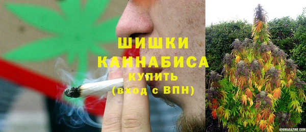 сатива Алзамай