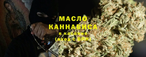 гашик Новозыбков