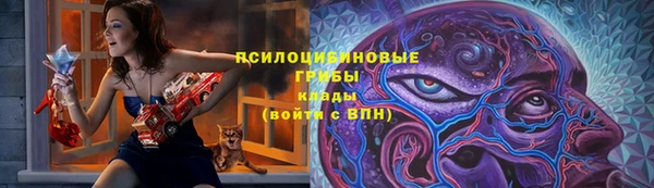 мяу мяу мука Алексеевка